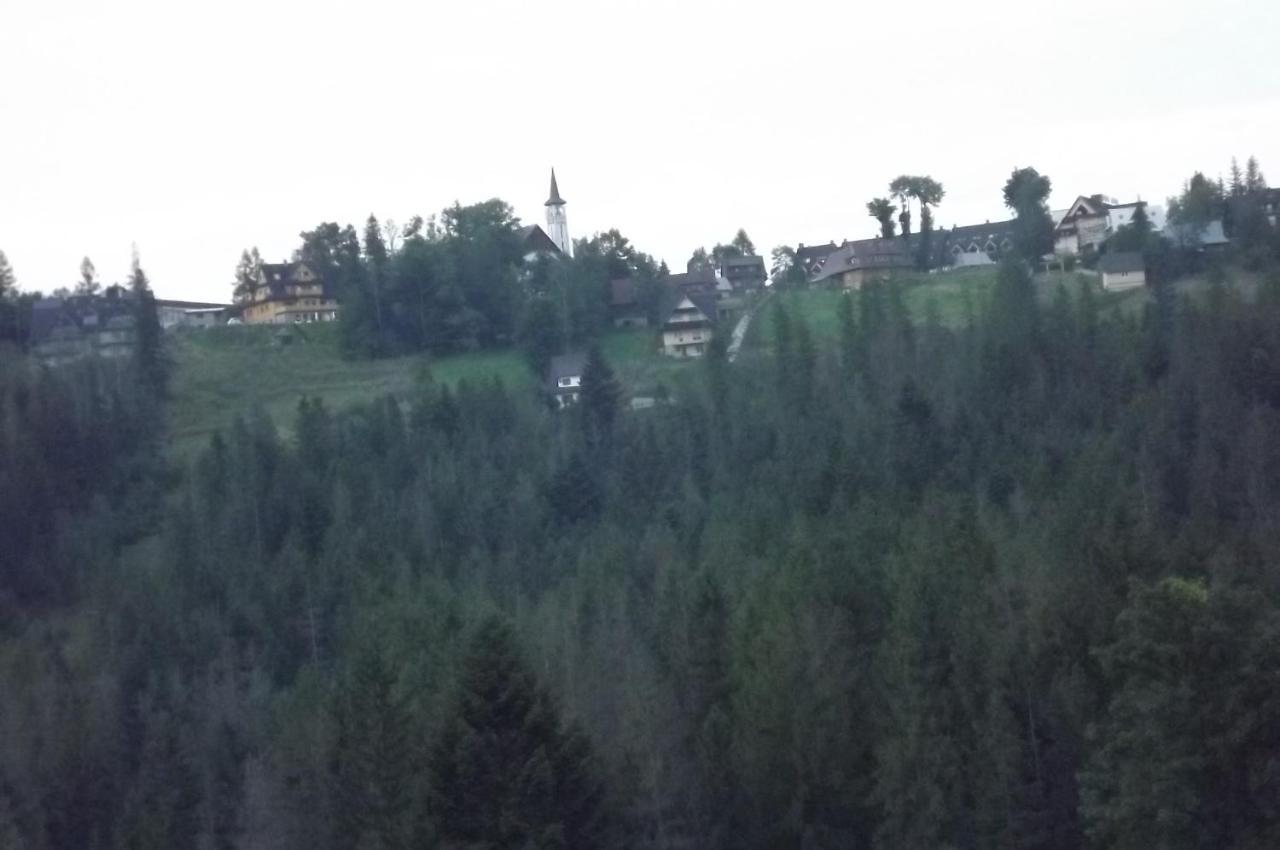 Hotel Prymulka Zakopane Esterno foto
